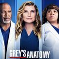 Grey's Anatomy Quiz