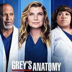 Grey's Anatomy Quiz-icoon