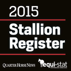 Quarter Horse Stallion 图标