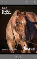 Quarter Horse Stallion الملصق