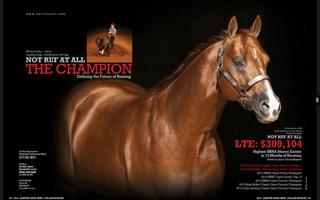 Quarter Horse Stallion تصوير الشاشة 3