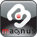 Czech Dictionaries Magnus APK