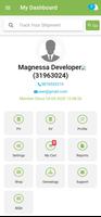 Magnessa 海報