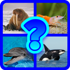 Quiz Animale Acvatice آئیکن