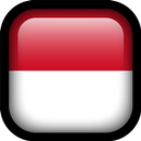 VPN Indonesia - Fast VPN APK