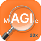 Magnifier icône