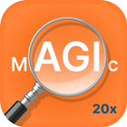 Magnifier icon