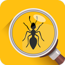 Magnifier Glass & Flashlight APK