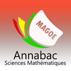 Magoé Annabac TSM 2.4 icon