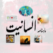 Icona Insaniat Magazine