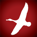 American Waterfowler icono