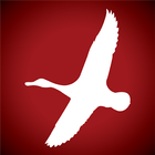 American Waterfowler ikona