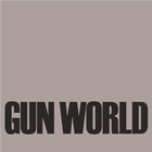 Gun World icône