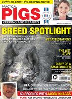 Practical Pigs poster