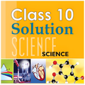 Class 10 Science NCERT Solved