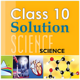 Class 10 Science NCERT Solved icono