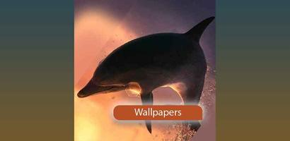 Wallpapers of dolphin screenshot 1