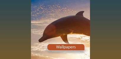 Wallpapers of dolphin screenshot 2