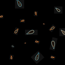 Feeding fish APK