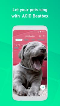 ACID Beatbox - Funny Cats & Dogs Video Maker poster