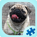 哈巴狗拼图游戏 APK