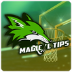 Basketball Betting Tips