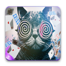 Card magic - disappearing card APK