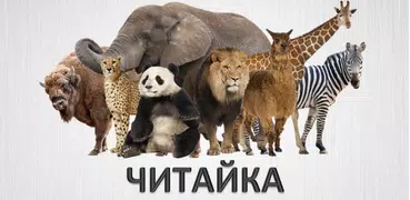 Читайка - учимся читать