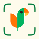 Nature ID - Plant Identifier APK