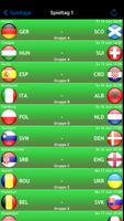 EM 2024 - Europameisterschaft Screenshot 1