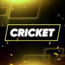 Cricket PM: Live Sports APK