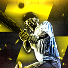 Cricket Match Scores آئیکن