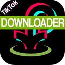 All Video Downloader for TikTok - TokMate-APK