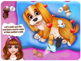 Puppy Pet Daycare & amp; Poster