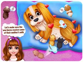 Puppy Pet Daycare & BabySitter 海報