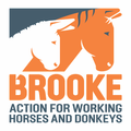BrookeCheck