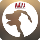 Maxima APK