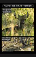Australian Deer Hunter captura de pantalla 3