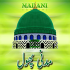 Madni Phool icon