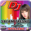 Lagu DJ Salam Tresno Ra Bakal Ilang Kangen Sansoyo APK
