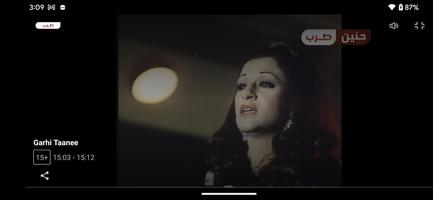 Haneen TV Screenshot 1