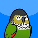 Too Many Birds!™ aplikacja