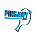 PINGAWY App(Egypt and MENA Fir APK
