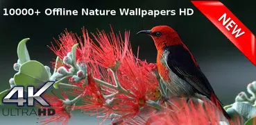 Nature Wallpapers HD (Offline)