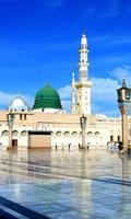 Madina Klok wallpapers | Roza HD Achtergronden 4K screenshot 3