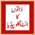 Zaton Ka Encyclopedia ikon