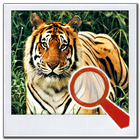 Find It 2™ Find the Difference 圖標
