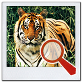 Find It 2™ Find the Difference biểu tượng