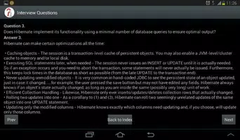 Java/Spring/J2EE Questionnaire Screenshot 5