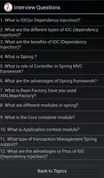 Java/Spring/J2EE Questionnaire Screenshot 1